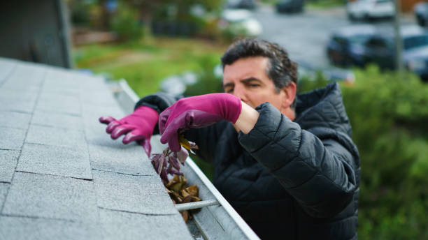 Roof Cleaning for Peak Performance